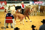 Beim Cutting, einer anderen Disziplin im Westernreiten, muss Eliane Gfeller ein Rind aus einer Herde «herausschneiden» (daher cutting = to cut) und es daran hindern, seinem natürlichen Herdentrieb folgend zum Rest der Herde zurückzukehren. (Bild: PD)