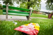 Abfall im Lindenpark in Frauenfeld. (Bild: Andrea Stalder)