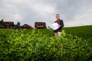 Stefan Moser (57) vermittelt beim Hochwasserschutzprojekt an der Reuss zwischen dem Kanton und Bauern. Hier steht er bei der Liegenschaft Althof, welche als Realersatz zu Verfügung steht. (Bild: Philipp Schmidli (Ebikon, 7. September 2018))