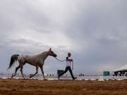 Zwölf Tage lang ist Tryon (USA) das Mekka des Pferdesports. Gleich in acht Disziplinen werden die Weltmeister ermittelt (Bild: KEYSTONE/EPA/ERIK S. LESSER)