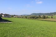 Im rechten Teil des Maisfelds, dem Brübach entlang, möchte die Gebr. Eisenring AG einen Neubau realisieren. (Bild: Hans Suter)