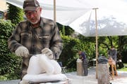 Hugo Biasini feilt an seiner Skulptur aus Alabaster im Garten des Kulturklosters Altdorf. (Bild: Remo Infanger, dAltdorf, 11. September 2018)