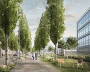 Im Bereich der Horwer Technikumstrasse könnten die Freiräume des Hochschul-Campus nahtlos in die Strassenräume der künftigen Süd-Allee übergehen.