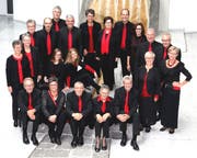   The Cantus Vocal Ensemble plays Friday at the Collegi Church in Sarnen. (Photo: PD) 