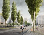 Ziemlich städtisch soll sich die Süd-Allee dereinst im Abschnitt zwischen Arsenalstrasse und Mattenhof-Kreisel präsentieren.