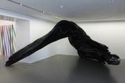 In der Ausstellung ist auch eine 20-fach vergrösserte Wurzel zu sehen. (Bild: Markus Zwyssig, Altdorf, 13. September 2018)