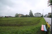 Bald weicht das Grün: Der Bau für das Pflegezentrum auf der Mörschwiler Burgerwiese soll 2019 beginnen.