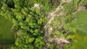 Über das Mattenbachtobel soll eine Hängebrücke gebaut werden. Ob die Brücke aber noch dieses Jahr realisiert werden kann, ist unklar. (Bild: Michel Canonica)