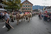 Im vergangenen Jahr zog die Alpabfahrt in Kerns zahlreiche Besucher an. (Bild: André A. Niederberger, Kerns, 30. September 2018)