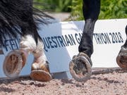Im Sand-Viereck schauen die Juroren auf jedes Detail. (Bild: KEYSTONE/EPA/ERIK S. LESSER)