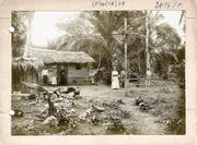Die Pallottiner 1891 auf Mission in Kamerun.