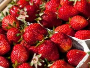Australische Behörden sind alarmiert: In Supermarkt-Erdbeeren wurden Stecknadeln gefunden. (Bild: KEYSTONE/AP dapd/MICHAEL LATZ)
