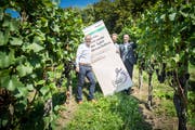 Rolf Müller, Thurgau Tourismus, OK-Präsident Werner Müller und Regierungsrat Walter Schönholzer präsentieren das Logo des Thurgauer Auftritts an der Fête des Vignerons 2019: «Thurgovie: bien plus que des pommes». (Bild: Reto Martin)