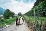 Asylbewerber aus Eritrea bei einem Arbeitseinsatz im Strassenunterhalt im Tessin. Bild: Gabriele Putzu/Key (Lumino, 20. August 2014)