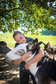 Zu Esel Luka hat Nigel Carey eine besonders innige Beziehung. (Bild: Ralph Ribi)