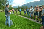 Fritz Leuenberger stellt Massnahmen vor, wie die Borstenhirse bekämpft werden kann. (Bild: Paul Küchler (Giswil, 19. September 2018))