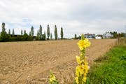 Auf der heute noch unbebauten Parzelle im Westen Frauenfelds soll unter anderem ein Busterminal sowie eine Überbauung mit Wohnungen entstehen. (Bild: Donato Caspari)