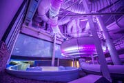 In der Bäderwelt des Säntisparks soll es zum Übergriff gekommen sein. (Bild: Urs Bucher)