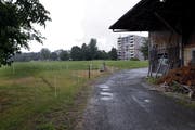 Im Gebiet Röhrliberg beim Allmendhof in Cham soll dereinst die Kantonsschule Ennetsee entstehen. Bild Werner Schelbert (6. Juli 2018)