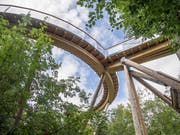 Der Baumwipfelpfad in Mogelsberg. (Bild: Hanspeter Schiess)