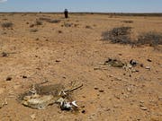 Die Geldpreise gehen an den Bauern Yacouba Sawadogo aus Burkina Faso und den Australier Tony Rinaudo, die sich beide dafür einsetzen, dass dürres, unfruchtbares Land in Afrika landwirtschaftlich genutzt werden kann. (Bild: KEYSTONE/EPA/DAI KUROKAWA)