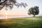 Der Sonnenaufgang am Bodenseeufer in Arbon. (Bild: Thi My Lien Nguyen)