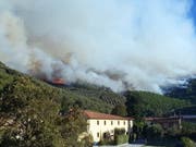 Der Wald brennt in Calci nahe Pisa. (Bild: Keystone/EPA/GABRIELE MASIERO)