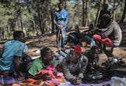 Flüchtlinge verstecken sich in den Wäldern nahe der marokkanischen Hafenstadt Tanger vor Polizeikräften. (Bild: Mosa'ab Elshamy/AP; 5. September 2018)