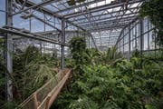 Hier ein Blick in eine Halle, in der Schneidearbeiten anstehen. (Bild: Pius Amrein, 19. Juli 2017)