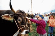 Das «Veezeichnä» ist jeweils für Gross und Klein ein Erlebnis. (Bild: Urs Hanhart (Altdorf, 7. Oktober 2017))