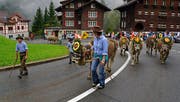 Die Spirgner Kilbi 2016 mit dem mit viel Herzblut gestalteten Alpabzug (Bild: Franz Imholz)