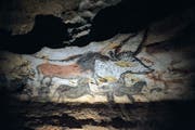 Höhlenmalerei in Lascaux: Um Tiere zu erlegen, entwickelten die Steinzeitmenschen eine spezielle Methode. (Bild: AP Photo/Pierre, Pool)