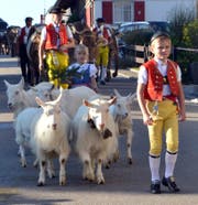 Sennische Auffuhr einer Bauernfamilie, hier mit Appenzeller Ziegen im Vorspann. (Bild: Peter Jenni)