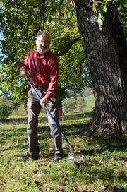 Hans Oppliger, Präsident des Vereins Nussdorf, bei der Nussernte im Sortengarten in Frümsen. (Bild: Jessica Nigg)
