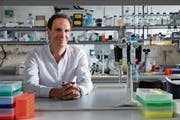 Der St.Galler Neurobiologe Johannes Gräff in seinem Labor am «Brain Mind Institute» der ETH Lausanne. (Bild: ETH Lausanne)