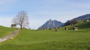 Blick auf einen der rund 350 Allmendteile. (Bild: PD)