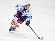 Pius Suter wird sich bald wieder im Trainingscamp der Ottawa Senators präsentieren (Bild: KEYSTONE/TI-PRESS/GABRIELE PUTZU)