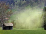 Die Intensität der Pollensaison war 2018 regional sehr unterschiedlich. Deutlich kürzer war die Pollensaison in Genf und Neuenburg. (Bild: KEYSTONE/FABRICE COFFRINI)
