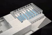 Gemäss dem Modell könnte die neue Dreifachturnhalle so aussehen. Anpassungen am Vorprojekt sind aber noch möglich. (Bild: Visualisierung: PD)