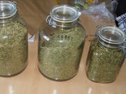 Die Polizei fand bei dem Mann in der Wohnung Hanf und Haschisch. (Bild: Zuger Polizei)