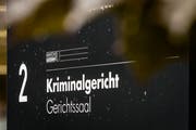 Der Eingangsbereich des Kriminalgerichts Luzern am Alpenquai. (Bild: Pius Amrein, 12. Juli 2016)