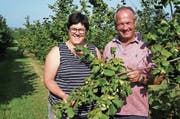 Ursula und Albert Forster sind die einzigen Haselnussbauern Gossaus. Bei der Familie stehen 280 Bäume. (Bilder: Martin Brunner)