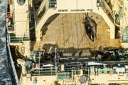 Ein Bild der Umweltaktivisten des "Sea Shepherd" zeigt einen toten Minkwal auf dem japanischen Schiff Nisshin Maru in der antarktischen See. (Bild: Glenn Lockitch/EPA; 15. Januar 2017)