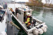 Das Löschboot der Feuerwehr Stadt Luzern kommt bei einer Übung zum Einsatz. (Bild: PD)