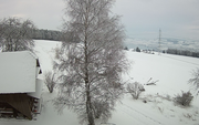 Bild: Webcam Bauer Fritz, Rickenbach