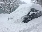 Der Besitzer dieses Auto im Riethüsli in St.Gallen wird vor der nächsten Fahrt einiges zu tun haben... (Bild: Daniel Walt)