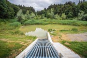 Der Damm mit Retentionsbecken im Rütiweier wurde im Sommer vergangenen Jahres fertiggestellt. (Bild: Urs Bucher (5. Juli 2018))