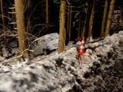 Im Wald gelandet ist eine Lenkerin mit ihrem Kleinbus in Ennetmoos NW. (Bild: Kantonspolizei Nidwalden)