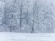 Die Schweiz bleibt die nächsten Tage weiss - zumindest in den Bergen wird viel Neuschnee erwartet (Symbolbild, Aufnahme vom 5. Januar 2019 bei Schaffhausen). (Bild: KEYSTONE/MELANIE DUCHENE)
