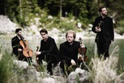 Das Goldmund-Quartett aus Deutschland. (Bild: PD)